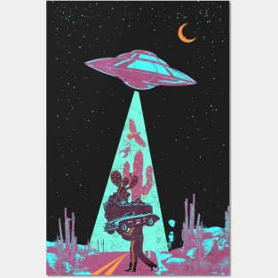 DESERT UFO Posters and Art